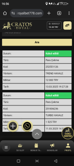 Screenshot_20250314-165607.png
