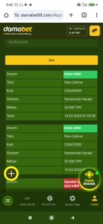 Screenshot_2025-03-16-09-03-31-422_com.android.chrome.jpg