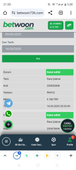 Screenshot_20250316-210008.png