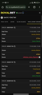 Screenshot_2025-03-18-02-07-28-991_com.android.chrome.jpg