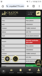 Screenshot_20250320-235025.png