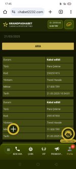 Screenshot_2025-03-21-17-45-19-08.jpg