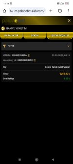 Screenshot_2025-03-23-11-11-19-005_com.android.chrome.jpg