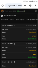 Screenshot_20250324-225551.png