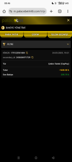 Screenshot_20250325-084615.png