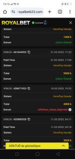 Screenshot_2025-03-25-16-16-39-90.jpg
