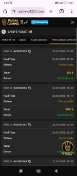 Screenshot_2025-03-26-01-06-13-194_com.android.chrome.jpg