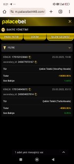 Screenshot_2025-03-26-00-21-13-646_com.android.chrome.jpg
