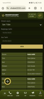 Screenshot_20250325_191027_com_android_chrome_ChromeTabbedActivity.jpg