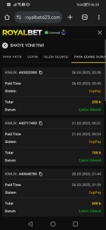 Screenshot_20250326_063356_com.android.chrome.jpg