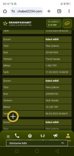 Screenshot_2025-03-27-03-10-48-84.jpg