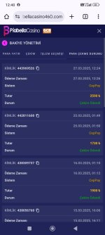 Screenshot_2025-03-27-12-40-29-596_com.android.chrome.jpg