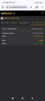 Screenshot_2025-03-29-22-49-17-256_com.android.chrome.jpg