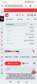 Screenshot_2025-04-02-11-32-44-273_com.android.chrome.jpg