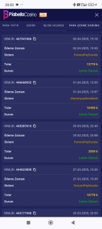 Screenshot_2025-04-02-20-03-01-452_com.android.chrome.jpg