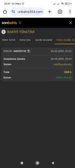 Screenshot_2025-04-04-23-47-01-659_com.android.chrome.jpg