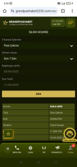 Screenshot_2025-04-11-00-30-32-617_com.android.chrome.jpg