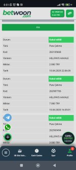 Screenshot_2025-04-11-00-51-53-293_com.android.chrome.jpg