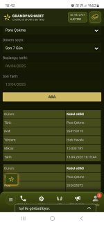 Screenshot_20250413_184229_Samsung Internet.jpg