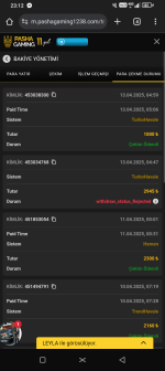Screenshot_20250413-231231.png