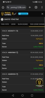 Screenshot_20250414_022605_com.android.chrome.jpg