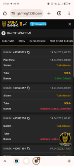 Screenshot_20250414-070509.png