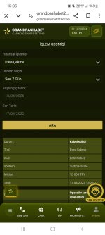 Screenshot_20250417_163609_Chrome.jpg