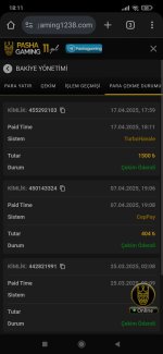 Screenshot_2025-04-17-18-11-59-265_com.android.chrome.jpg