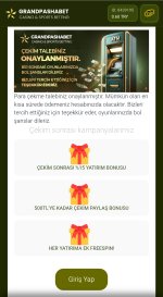 Screenshot_2025-04-17-21-38-40-940_com.android.chrome-edit.jpg