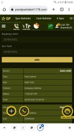Screenshot_20220829-145515_Chrome.jpg