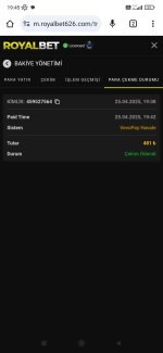 Screenshot_2025-04-25-19-45-09-399_com.android.chrome.jpg