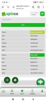 Screenshot_2025-04-26-02-45-33-545_com.android.chrome.jpg