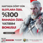 1748334324567.png