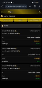 Screenshot_2025-05-28-00-55-20-208-edit_com.android.chrome.jpg