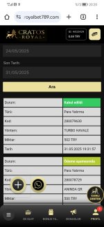 Screenshot_20250531_202043_com.android.chrome.jpg