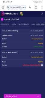 Screenshot_20250606_220650_com.android.chrome.jpg