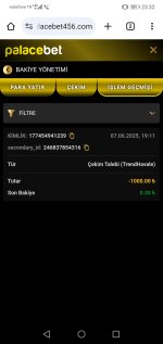 Screenshot_20250607_233252_com.android.chrome.jpg