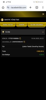 Screenshot_20250610_023250_com.android.chrome.jpg