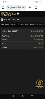 Screenshot_20250613_033703_com.android.chrome.jpg