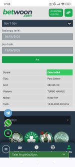 Screenshot_2025-06-13-17-05-47-150_com.android.chrome.jpg