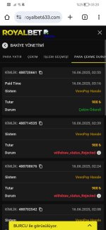 Screenshot_20250616_032006_com.android.chrome.jpg