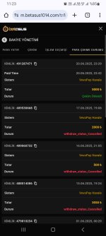 Screenshot_20250621_112342_Chrome.jpg