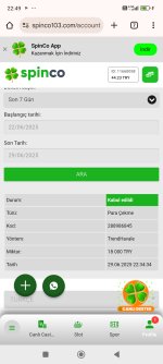 Screenshot_2025-06-29-22-49-34-834_com.android.chrome.jpg