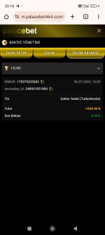 Screenshot_2025-07-06-20-18-21-901_com.android.chrome.jpg