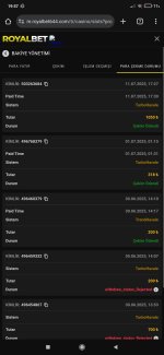 Screenshot_2025-07-11-19-57-19-470_com.android.chrome.jpg