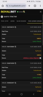Screenshot_20250715_004514_Chrome.jpg