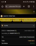 Screenshot_20250715-122120.jpg