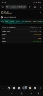 Screenshot_2025-07-24-00-20-18-023_com.android.chrome.jpg