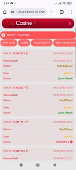 Screenshot_2025-07-31-06-51-42-311_com.android.chrome.jpg