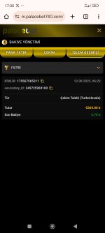 Screenshot_2025-08-12-17-35-52-939_com.android.chrome.jpg